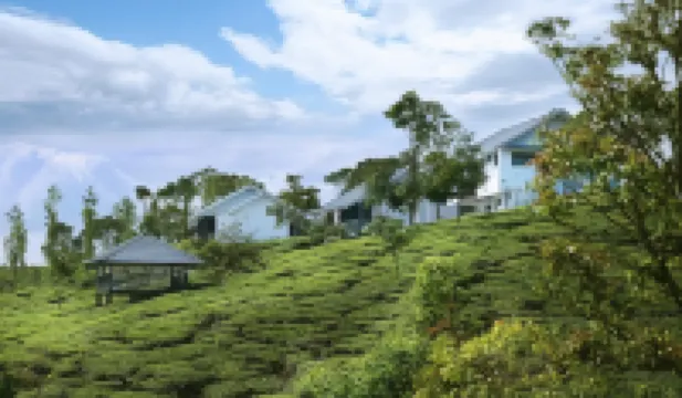 Pekoe Plantation Cottages by LexStays
