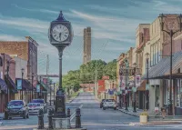 Artistic and Creative Vibe with Indoor Swing 2 Blocks to Downtown & near SEMO