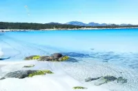 [Porto Rotondo] Vista Incantevole Sul Mare e Yacht