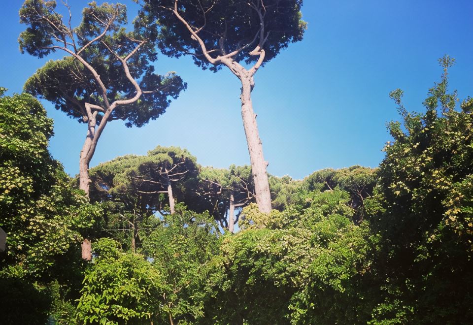 Agro Art Boutique & luxury villa Over view