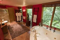 Linden Gardens Rainforest Retreat - Inns