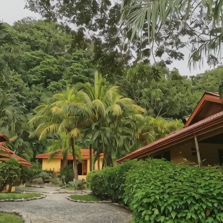 Hotel Ritmo Tropical - Pool and Breakfast