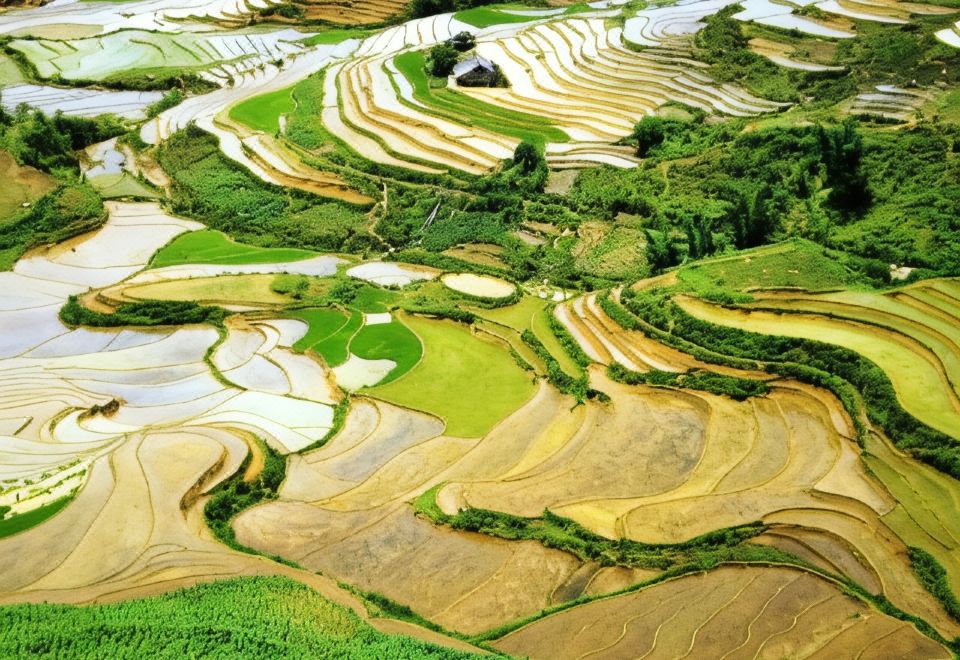 4. 사파 드래곤 호..