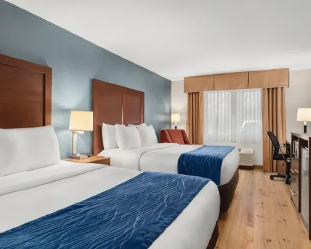 Comfort Inn & Suites Vancouver Downtown City Center Hotels in Vancouver