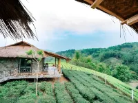 Mường Lò Retreat Nghia Lo Văn Chấn District otelleri
