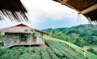Mường Lò Retreat Nghia Lo Hotels in Van Chan District