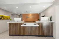 굿 나이트 인 카마릴로