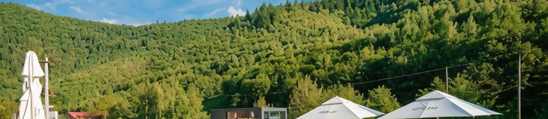 Gehobene Hotels 