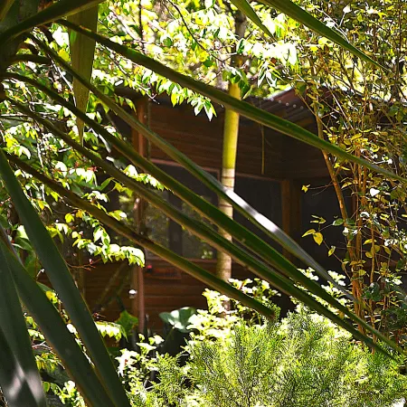 Private 2-Bedroom Jungle Cabin in Tropical Garden, San Ignacio