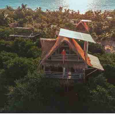 Hippie Chit Jungle House Hotel Exterior