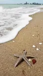 Beautiful Bayfront Water View