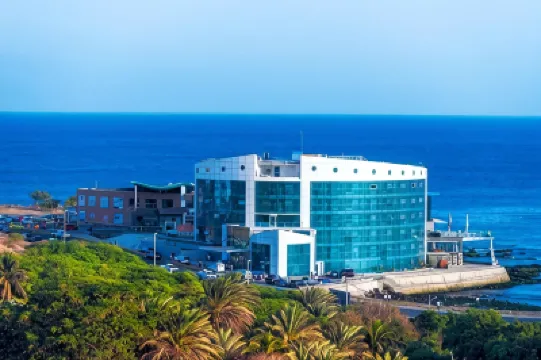 Hotel VIP Praia Hotels in 