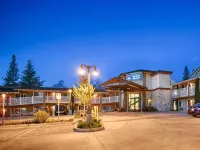 Best Western the Inn of Los Gatos Hotels in Los Gatos