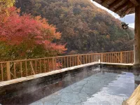 もうひとつのふる里 ホテル山口屋 - 温泉