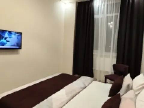 Milena Hotel Hotels in Pushkin