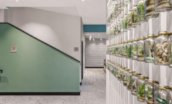 Ibis Styles Paignton