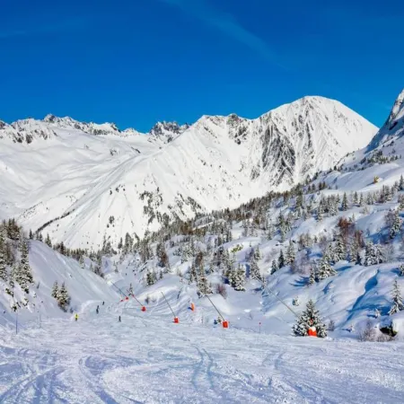 Vaujany Stay Near Slopes