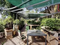 Quinta das Eirinhas-Jardim de Bonsai - Ocean View