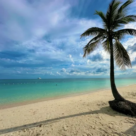 Palm Tree Cove - Stunning Partial Ocean Views; Beachfront Location!