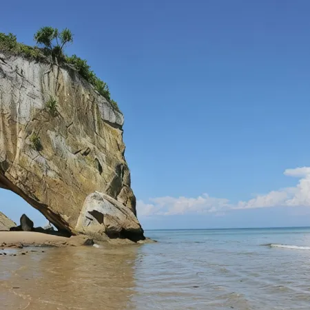 Sutera Horizon at Niah National Park