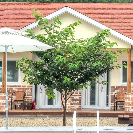 Yangyang Pool&Valley Camping Place