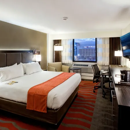 Holiday Inn HOUSTON S - NRG AREA - MED CTR by IHG