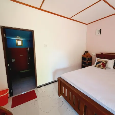 Jungle Eco Lodge & Safari