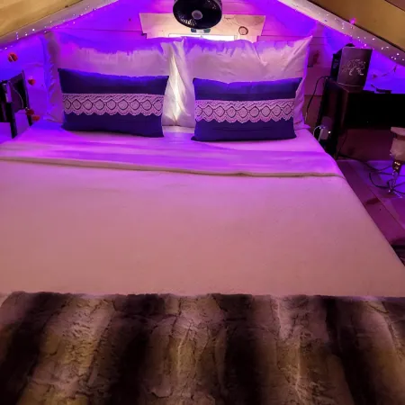 Come and Enjoy Cabin in Wodzzz.