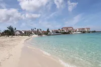 NEW & IMPROVED OCEANFRONT VILLA W/ INFINITY POOL & BEST SNORKELING! Sleeps 20 - 3-نجوم