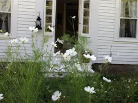 Priv 2nd fl suite-Kingbd; Sit rm w/minibar; prv bath; separate entran nr Acadia Hotele w: Surry