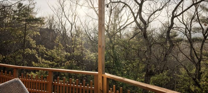 Quirky & Unique Treehouse with 360 Views, Hike, Lake, Golf バサイのホテル