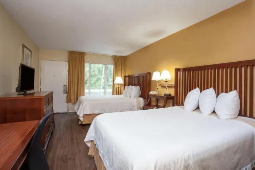Econo Lodge Daytona Beach - Speedway
