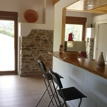 Beautiful views of the green nature from the inside Asturiana