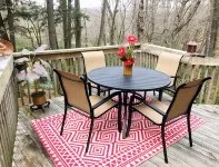 "The Serenity Home" on Sugar Mountain - Alppimaja