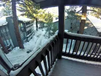Remodeled and Upgraded; 1 mile from lifts, Shuttle stops at our property - Pool