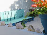 Beach Front Honeymoon Hotels in Savaneta