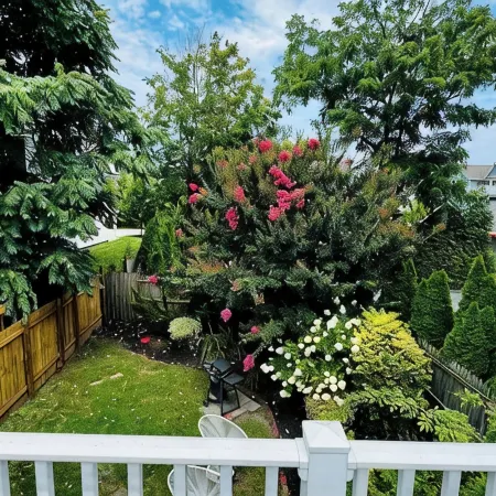 Cape May condo - walk to the everything