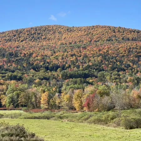 On the Mountain in Windham, New York in the Catskills