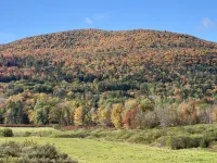 On the Mountain in Windham,  New York in the Catskills