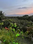 Mauijoy Villa ~ Expansive Oceanview  Retreat above Wailea  Pool Private Location - Jacuzzi