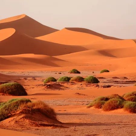 Sahara Wild Camping Hotels in Mhamid