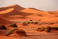 Sahara Wild Camping - Wifi