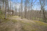 HOT TUB! Tiny Home Fire Pit! Pet Friendly on 5 Acres of Seclusion! - Homestays