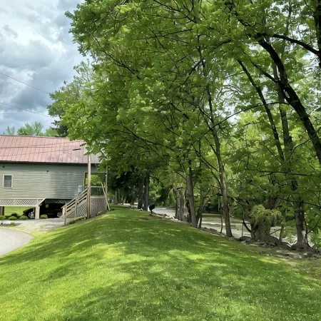 Parsons Riverside Retreat: Steps away from a rolling mountain stream and trails
