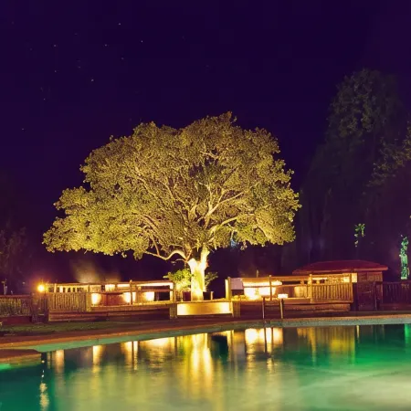 Hotel Pucon Green Park