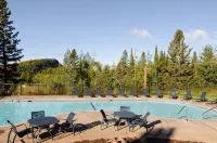 Lutsen Ski-In/Ski-Out Townhome w/Pool and Hot Tub Access! - Pools