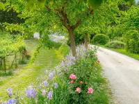 Between art and nature farm in Umbria Green Heart of Italy Hotels in Spello