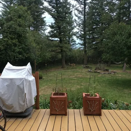 Swan Mntn View--Entire, Private Basement Suite, Close to GNP, Whitefish & Lake.