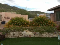 AWESOME Sunsets by the Heated Pool, putting green, hot tub & Tucson Night Lights Hotels in Tanque Verde