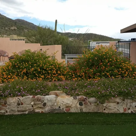 AWESOME Sunsets by the Heated Pool, putting green, hot tub & Tucson Night Lights